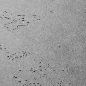 Black Cemento Textured Panel